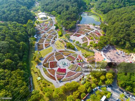 울산대공원の広大な緑と壮観な景色を楽しもう！